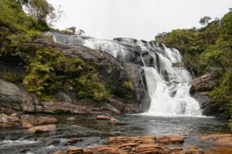 Bakers Waterfall: A Hidden Gem Worth Exploring