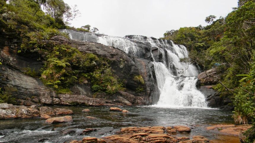 Bakers Waterfall: A Hidden Gem Worth Exploring
