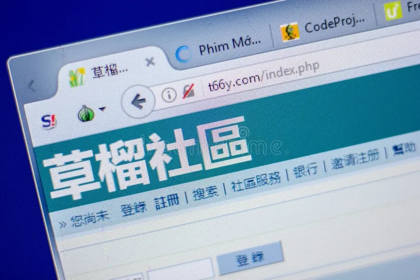 T66y: The Technical Community Forum Explained