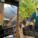 Unlocking the Secrets of Joh Jos: A Comprehensive Guide