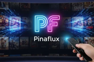 Unlocking the Power of pinaflux: A Simple Guide to Modern Flow