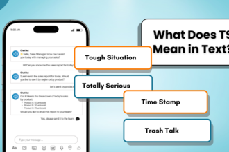 TS Meaning in Text: Decoding The Popular Acronym