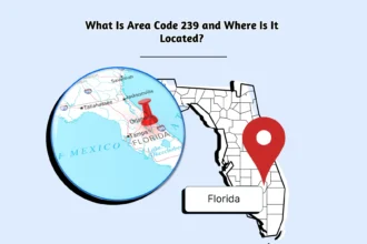 239 area code