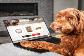 Wooflix: The Ultimate Streaming Guide for Your Dog