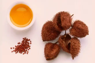 The Ultimate Guide to Annatto Color: What It Is and Why It’s Everywhere