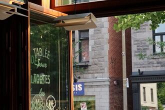 Molenne: A Deep Dive into its History, Meaning, and Significance