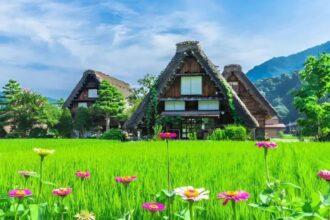 What Is Haskawana? The Complete Guide for Beginners