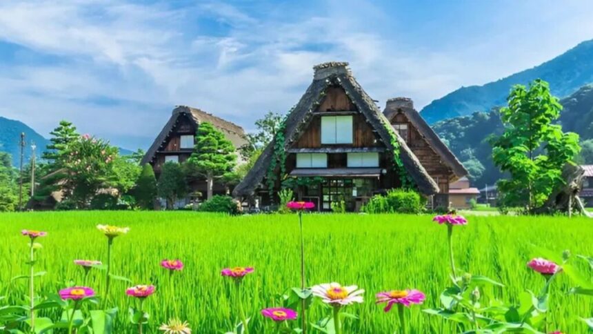 What Is Haskawana? The Complete Guide for Beginners