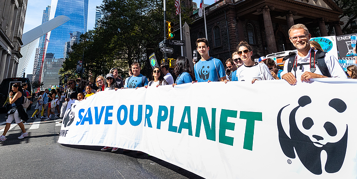 WWF employment opportunities