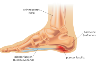 Understanding Fotbladet: A Guide to the Sole of the Foot