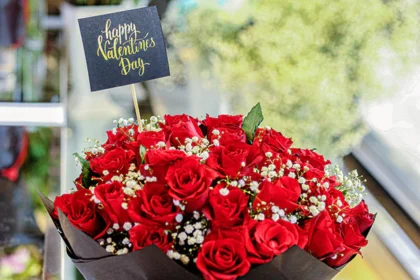 Rosboxar: The Ultimate Guide to Timeless Floral Elegance