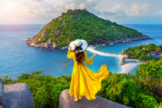 Your Guide to Navigating the World of Thesindi com