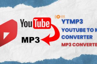The Ultimate Guide to Using a ytmp3 converter for Your Audio Needs