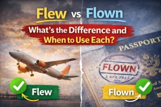 Understanding the Flown Definition: A Grammar Guide