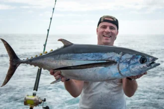 Everything You Need to Know About Тунец Длиннопёрый (Albacore Tuna)