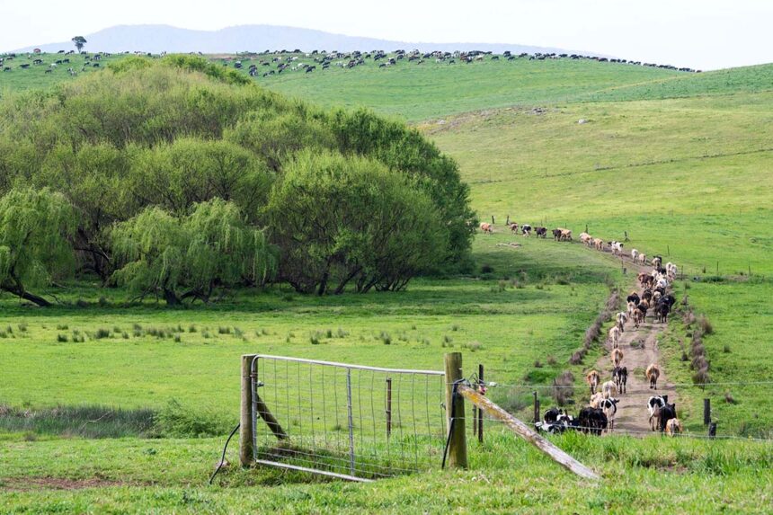 travelling stock reserves