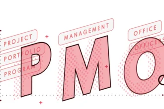 pmo meaning