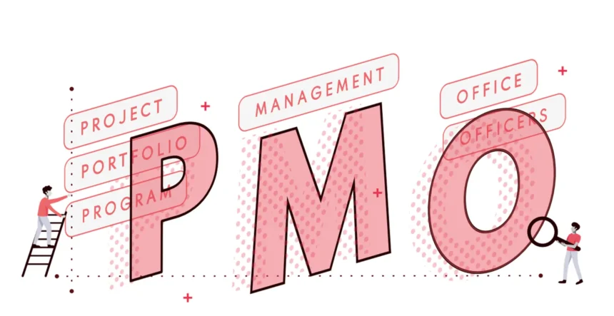 pmo meaning