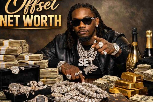 offset net worth