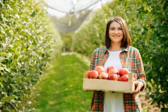 The Ultimate Guide to Understanding Fruit Dating
