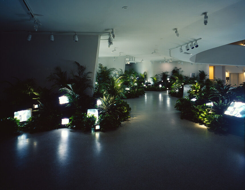 TV Garden