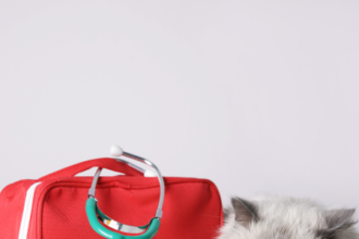 The Essential Guide to Pet First Aid for Animal Lovers