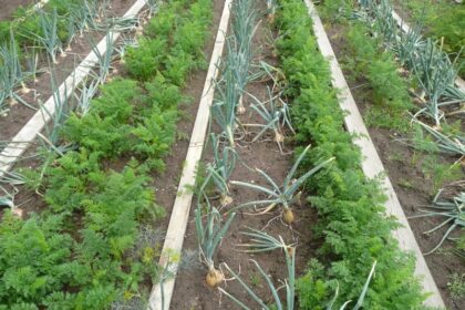 Grow a Garden Wiki