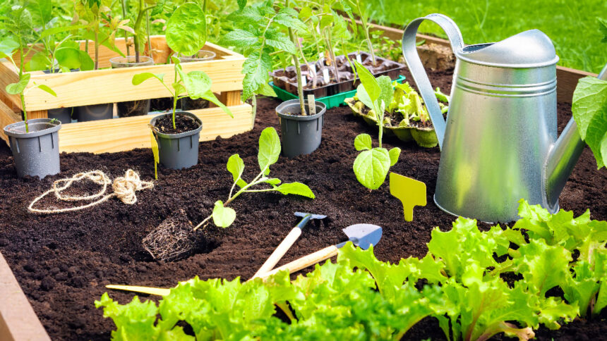How to Start a Garden: A Complete Beginner's Guide