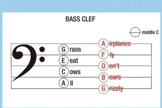 Bass Clef Explained: Everything You Need to Know as a Beginner