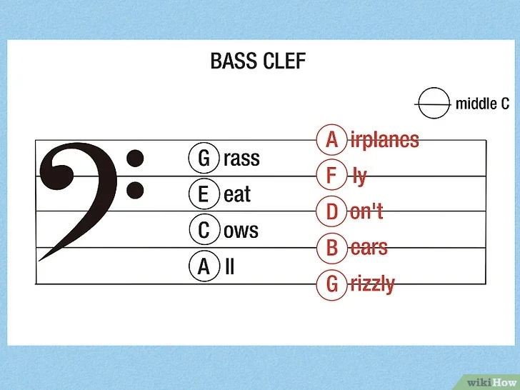 Bass Clef Explained: Everything You Need to Know as a Beginner